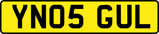 YN05GUL