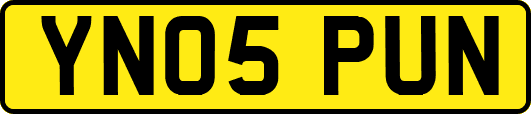 YN05PUN
