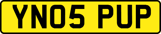 YN05PUP