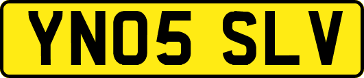 YN05SLV