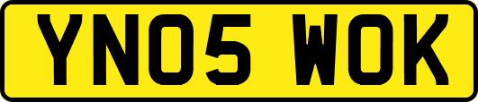 YN05WOK