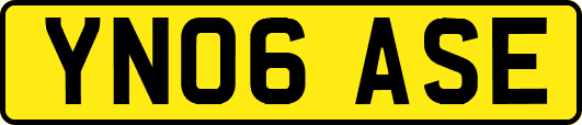 YN06ASE