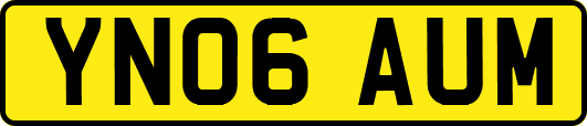 YN06AUM