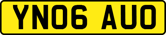 YN06AUO
