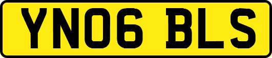 YN06BLS
