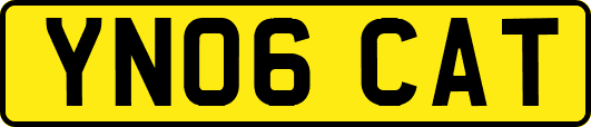 YN06CAT
