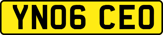 YN06CEO