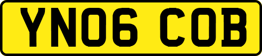 YN06COB