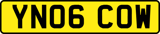 YN06COW