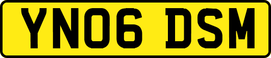 YN06DSM