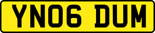 YN06DUM