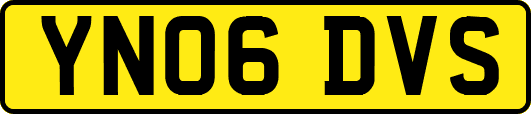 YN06DVS