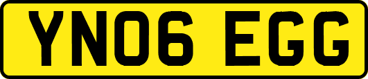 YN06EGG