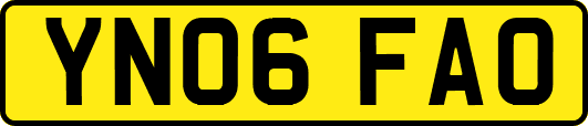 YN06FAO