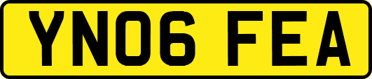 YN06FEA