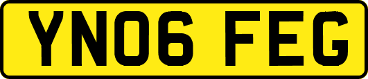 YN06FEG