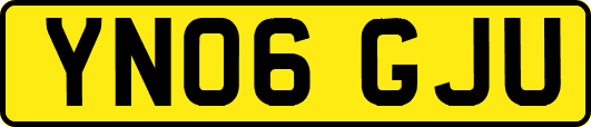 YN06GJU