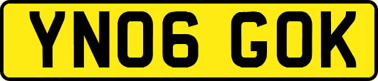 YN06GOK