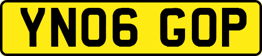 YN06GOP
