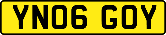 YN06GOY