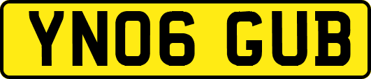 YN06GUB