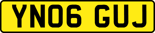 YN06GUJ