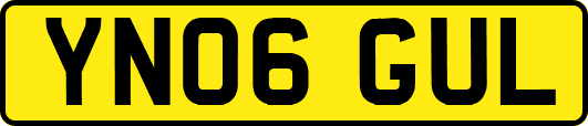 YN06GUL