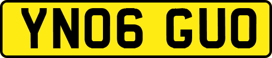 YN06GUO