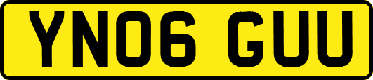 YN06GUU