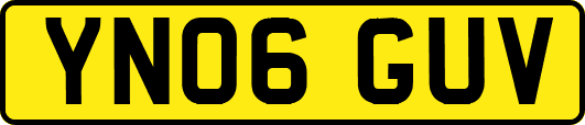YN06GUV