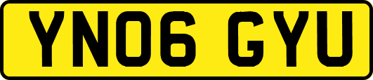 YN06GYU