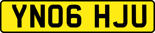 YN06HJU