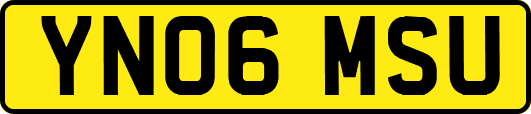 YN06MSU
