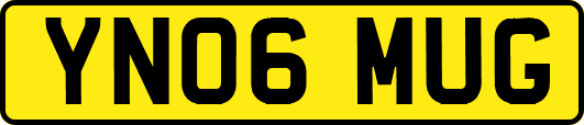 YN06MUG