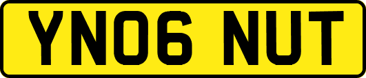 YN06NUT