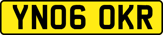 YN06OKR