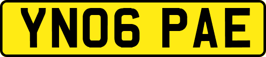 YN06PAE