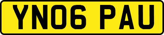 YN06PAU