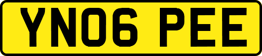 YN06PEE