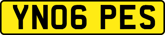 YN06PES