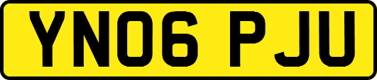 YN06PJU