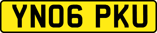 YN06PKU