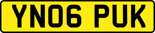YN06PUK