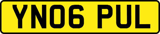 YN06PUL