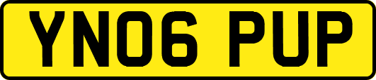 YN06PUP