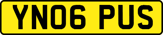 YN06PUS