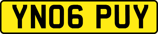 YN06PUY