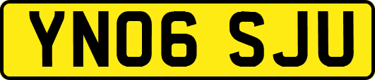 YN06SJU