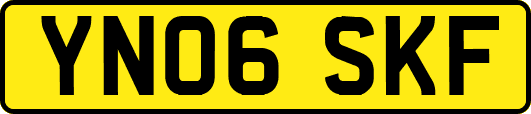 YN06SKF