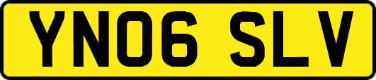 YN06SLV